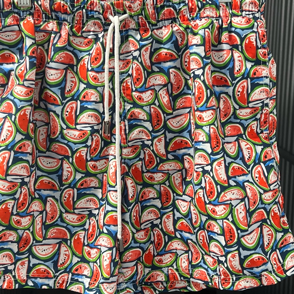 Watermelon Print Swim Shorts